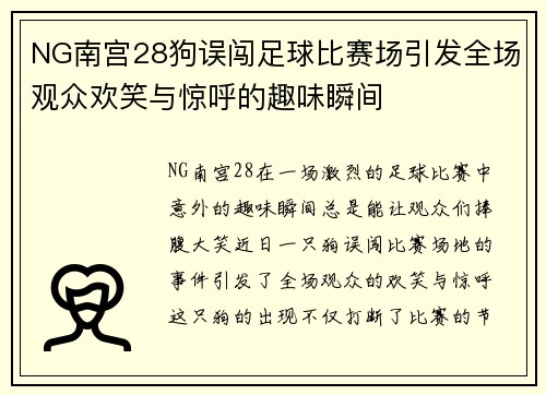 NG南宫28狗误闯足球比赛场引发全场观众欢笑与惊呼的趣味瞬间